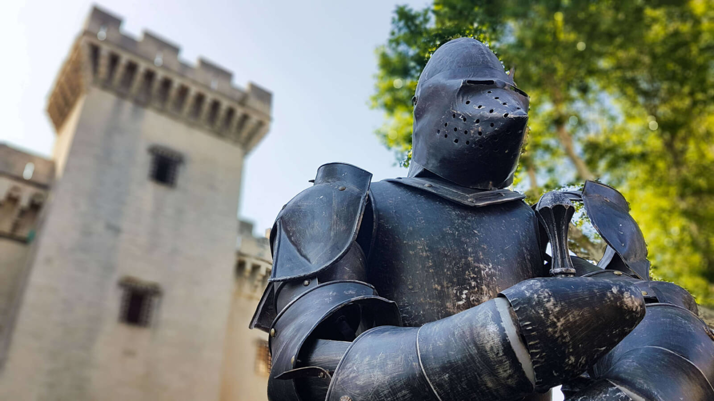 Retour en images sur les fêtes de la Tarasque 2018 de Tarascon