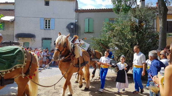 Charrettes F Te Saint Eloi Alpilles Et Durance Le Programme