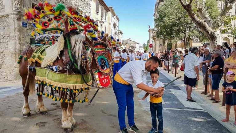 Charrettes F Te Saint Eloi Alpilles Et Durance Le Programme