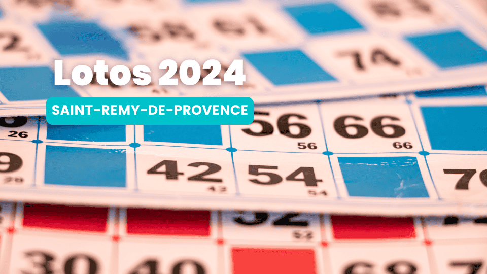 programme lotos à Saint Rémy de Provence