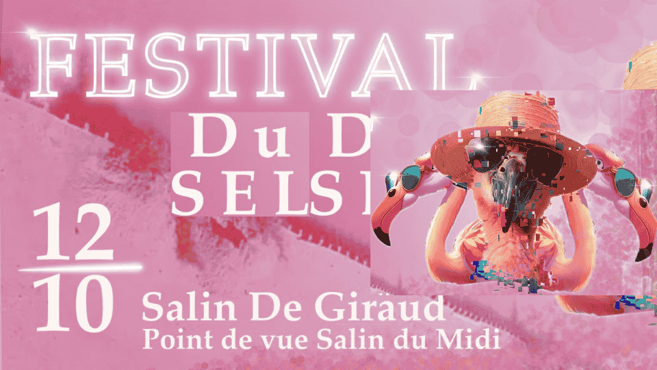 festival du sel 2024 salin de giraud