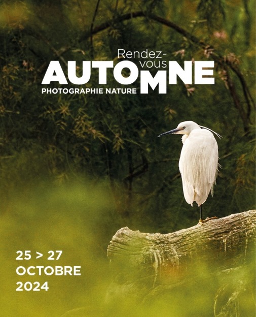 les rendez vous d'automne 2024 festival camargue