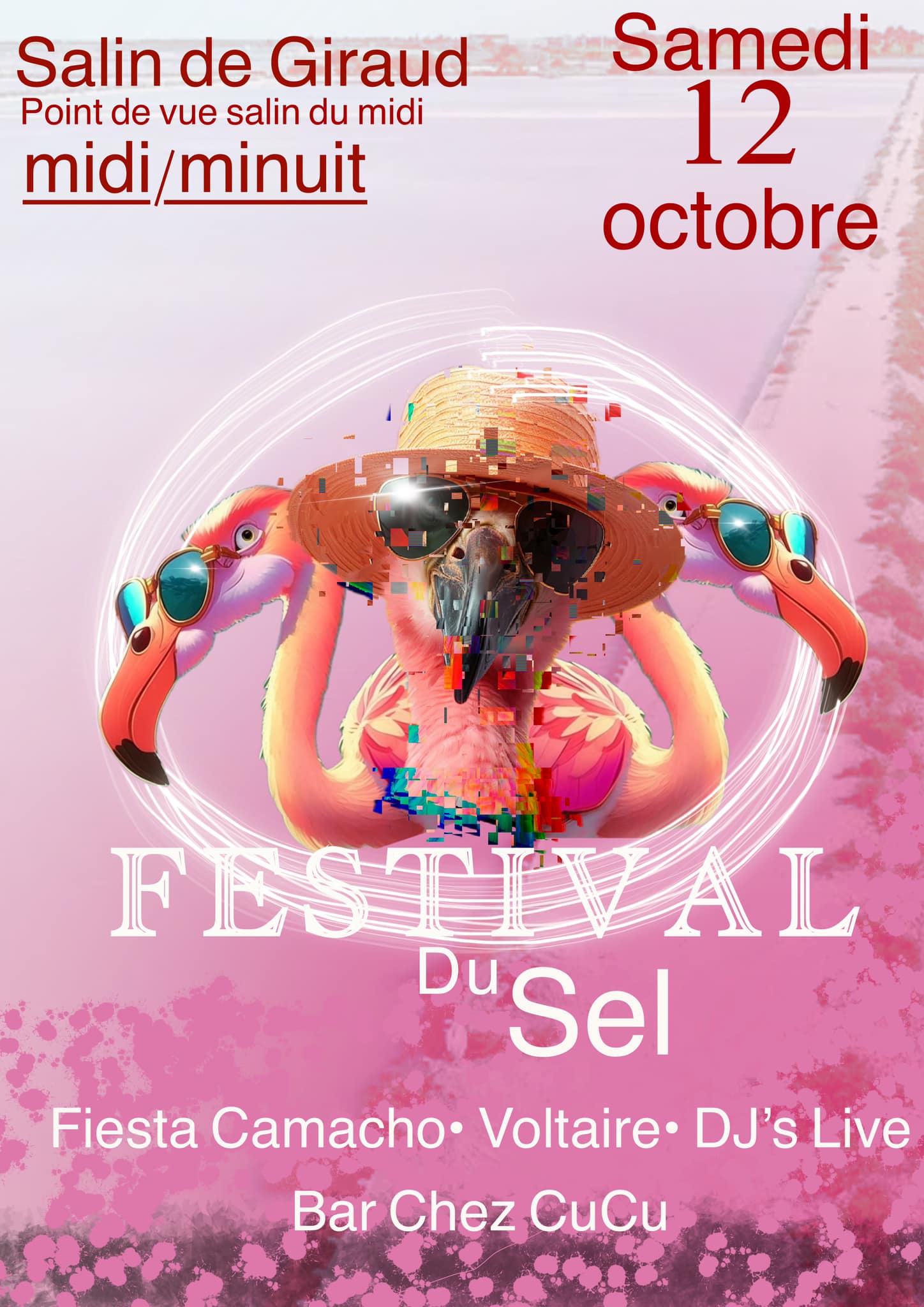 festival du sel 2024 salin de giraud