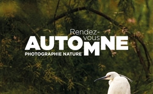 les rendez vous d'automne 2024 festival camargue