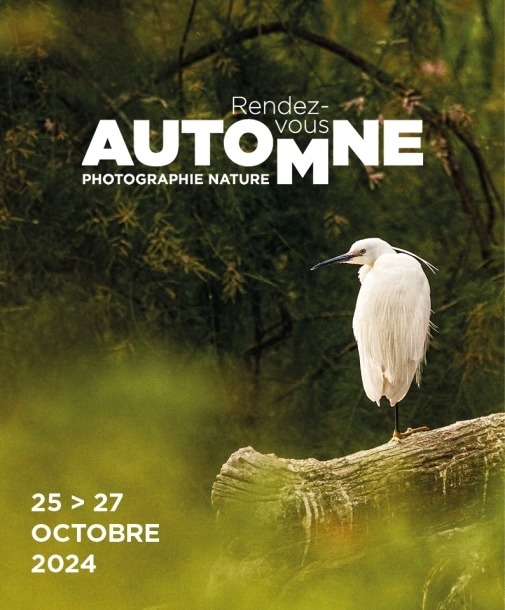 festival camargue rendez-vous d'automne 2024